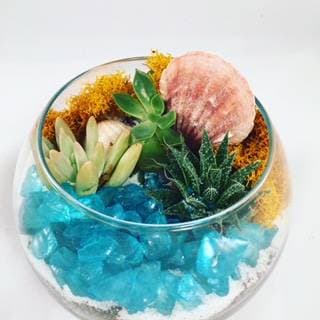 Succulents with Sea Glass in Rose Bowl - Paint and sip event at Saltwater Brewery in Delray Beach, FL - PaintNite.com