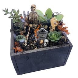 NO BONES ABOUT IT thumbnail