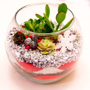 Succulent Terrarium in Rose Bowl - Silver Christmas Sand Art - Paint and sip event at LÍKHÂ Gallery in HAWTHORNE, NY - PaintNite.com