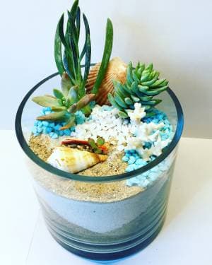 Beach Terrarium- Sand, Shells and Succulents - Paint and sip event at Piccadilly Circus in snohomish, WA - PaintNite.com