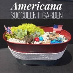 Americana Succulent Garden thumbnail