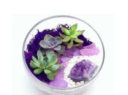 Succulent Terrarium in Half Cut Bowl with Amethyst Crystal thumbnail