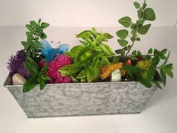 Herb Garden in Tin Planter thumbnail