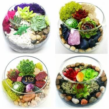 Design Your Own Succulent Garden in Glass Container - Paint and sip event at Rouge River Brewery in MARKHAM, ON - PaintNite.com