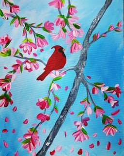 Spring Cardinal Visit thumbnail