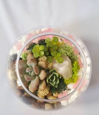Succulent Terrarium with Pink Quartz and Sea Glass - Paint and sip event at Charlie Brown's Fresh Grill in Woodbury, NJ - PaintNite.com