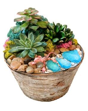 Natural Birch Planter with Succulents - Paint and sip event at Oak Knoll Winery in Hillsboro, OR - PaintNite.com