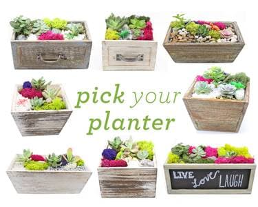 Pick Your Planter! Succulents with Choice of Wood Planter - Paint Nite event in Staten Island, NY
