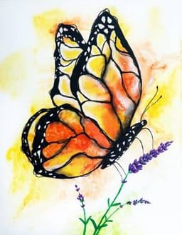 Butterfly Beauty thumbnail