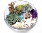 Under the Sea in Slope Bowl thumbnail