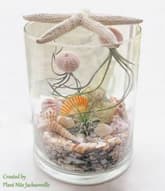 Jellyfish Under the Sea thumbnail