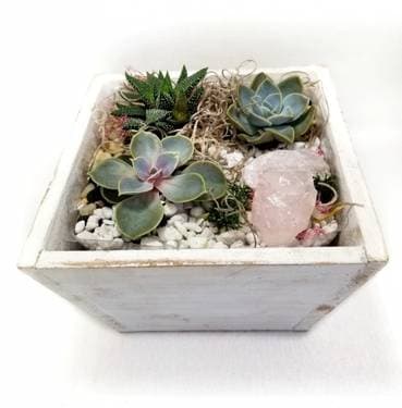 Rose Quartz and Succulents in Wooden Planter - Paint and sip event at GenuWine Arizona Wine Bar in Phoenix, AZ - PaintNite.com