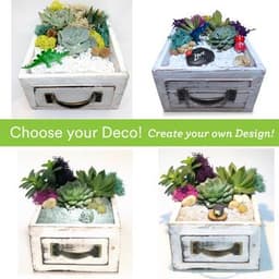 Choose your Deco - Wood Drawer thumbnail