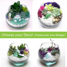 Choose your Deco - Rose Bowl thumbnail