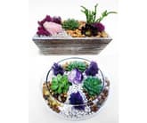 Choose Between Distressed Wood or Glass Container with Amethyst or Rose Quartz Crystal thumbnail