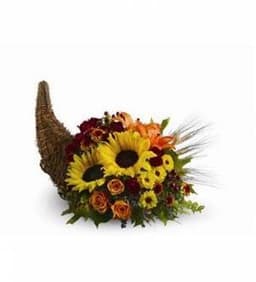 Floral Cornucopia thumbnail