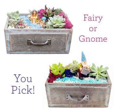 You Pick: Fairy or Gnome Succulent Garden - Paint and sip event at Epigram Brew Co in Tyngsborough, MA - PaintNite.com