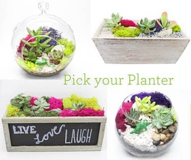 Pick Your Planter with glass or wood - Paint and sip event at Squatters Taproom in SALT LAKE CTY, UT - PaintNite.com