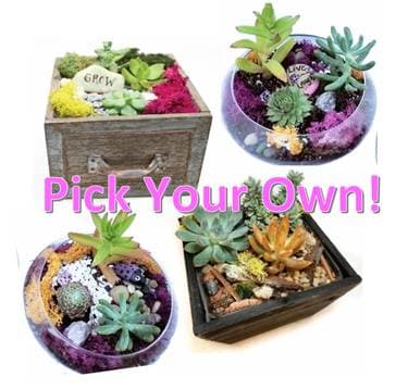 Pick Your Own Wooden or Glass Planter! - Paint and sip event at Rooster Company in Newington, CT - PaintNite.com
