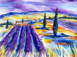 Colorful Lavender Fields thumbnail