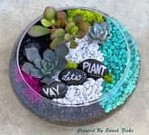 YAY, Let's Plant in Lily Bowl thumbnail