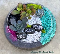 YAY, Let's Plant in Lily Bowl thumbnail