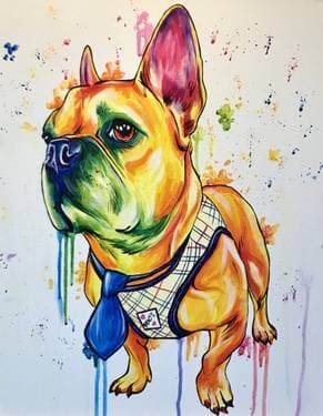 Paint Your Pet (Splash Edition) - Paint Nite event in sa, CA