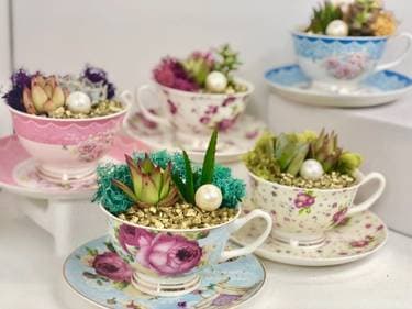 Terrarium Teacup Party- choose two tea cups - Paint and sip event at The House of Danger in Costa mesa , CA - PaintNite.com