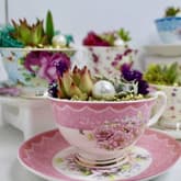 Terrarium Tea Party for Two - Choose Two Teacups thumbnail