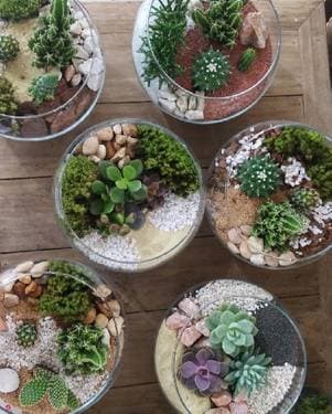 Glass Succulent Bowls - Create One - Paint and sip event at Arooga's Patchogue in Patchogue, NY - PaintNite.com