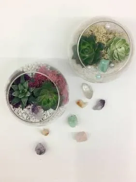 Plant Nite at The Jungle 12/15/2019 — Painting