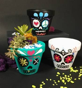 Paint & Plant - Sugar Skull Terra Cotta Pot - Paint and sip event at Greater Good in Worcester , MA - PaintNite.com