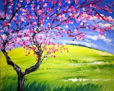 Spring Cherry Blossom at Mtn. Mike's on Montgomery in SRosa — Painting