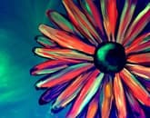 Electric Crazee Daizee (Black Light) thumbnail