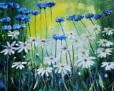 Cornflowers n Daisies thumbnail