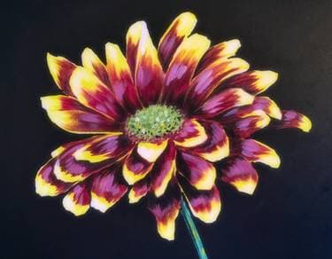China Mum - Paint Nite event in Maple Ridge, BC