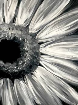 Sunflower Noir thumbnail