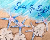 Seas The Day Starfish/Sand Dollars thumbnail
