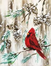 Red Cardinal in a Winter Pine thumbnail