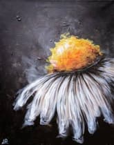 Cool Daisy thumbnail