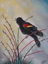 Blackbird's Morning Song thumbnail