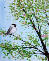 Springtime Chickadee thumbnail
