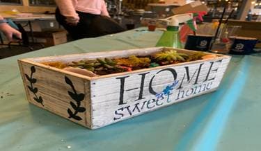 Paint and Plant Succulents - Paint Nite event in Prince Frederick, MD