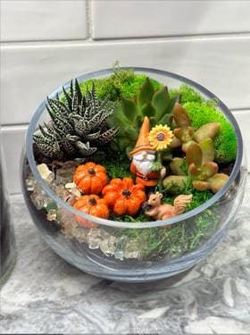 Gnome and Pumpkins Succulent Fall Planter in Glass Bowl - Paint and sip event at Bluebird Kitchen in BELLMORE, NY - PaintNite.com