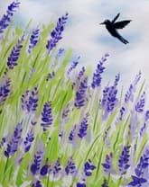 Humming Around the Lavenders thumbnail