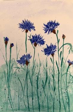 Watercolor - Summer Cornflowers — Painting