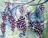 Dripping Wisteria thumbnail