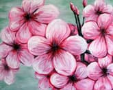 Blooming Flowers thumbnail