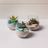 Wine Glasses Succulent Trio II thumbnail