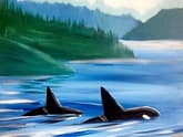 Coastal Orcas thumbnail